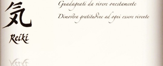 i 5 principi di reiki: la parola del maestro è guida spirituale
